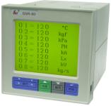 SWP-LCD-ASR-M智能化64路巡检仪