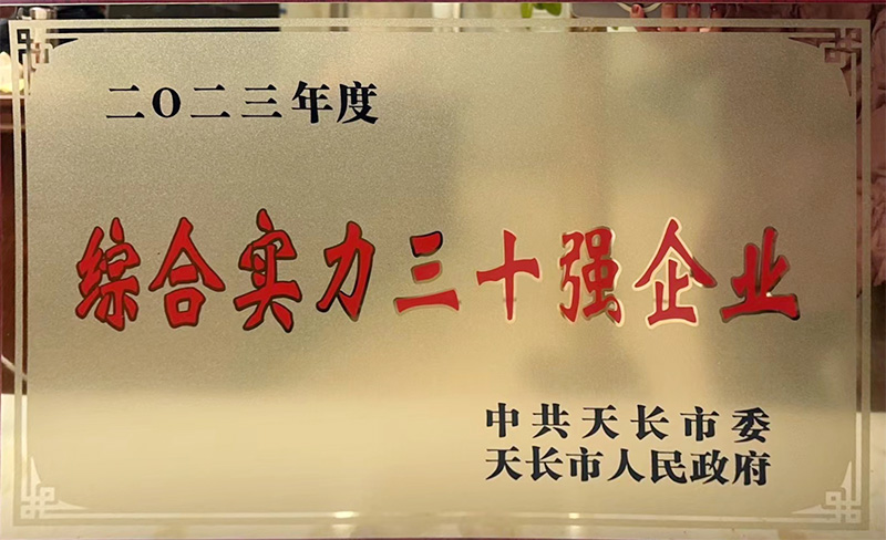 综合实力三十强企业